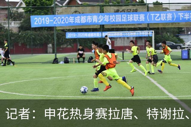 记者：申花热身赛拉唐、特谢拉、米内罗、刘诚宇没有出场